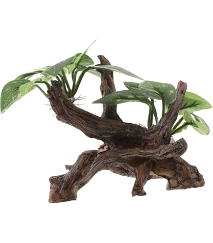 Amazon.co.jp: クワリウム 登り木 エサ台 シェルター : ペット用品